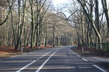 Wageningen ve Renkum ağaçları kış Road ile arasındaki Utrechtseweg N225