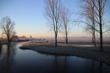 Çayırlar ve su sis ile renkli doğarken Nieuwerkerk aan den Ijssel Hollanda içinde Park Hitland sırasında dondurulmuş