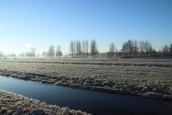ニーウェルケルク アンデナイセル オランダの公園 Hitland にカラフルな日の出の中に草原と霧水を凍結 — ストック写真