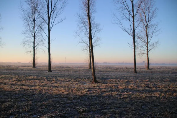 Prairies Gelées Eau Avec Brouillard Pendant Lever Soleil Coloré Dans — Photo