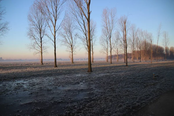 Prairies Gelées Eau Avec Brouillard Pendant Lever Soleil Coloré Dans — Photo