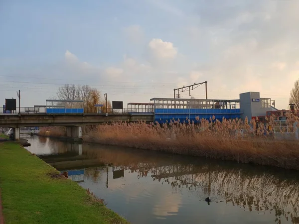 Gazon Roseau Long Réfléchissant Dans Eau Canal Périphérique Zuidplaspolder Nieuwerkerk — Photo