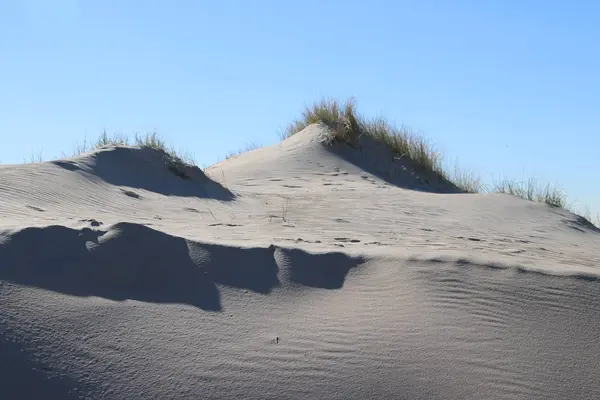 Grama Marram Sol Nas Dunas Areia Longo Costa Mar Norte — Fotografia de Stock