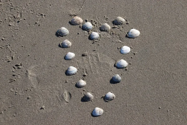 Σχήμα Καρδιάς Από Κοχύλια Στην Παραλία Του Τέρατος Στην Ολλανδία — Φωτογραφία Αρχείου