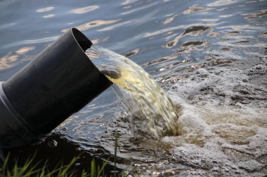Noordwijkerhout lale dolu alanlar arasında bir hendek su pompalama borusu