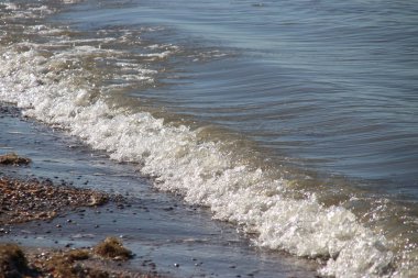 Hollanda canavar beach Kuzey Denizde sahil şeridi.