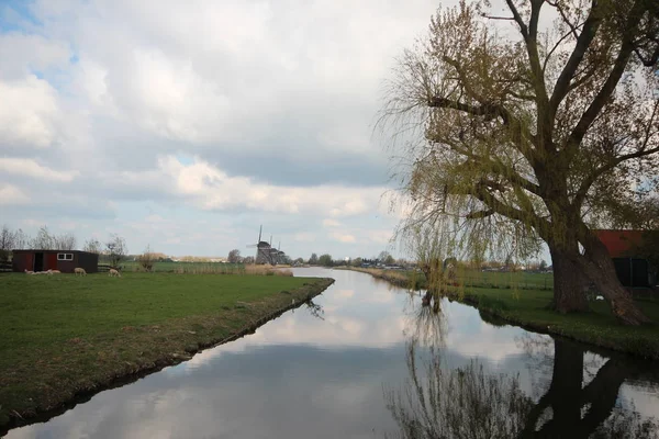 Drie Molens Van Stompwijk Driemanspolder Wilsveen Buurt Van Leidschendam — Stockfoto