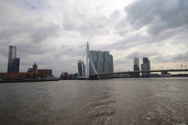 Nehir Nieuwe Maas üzerinde Erasmusbrug binalar ile Rotterdam Skyline