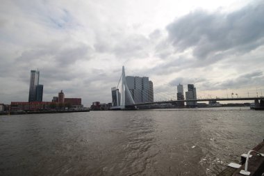 Nehir Nieuwe Maas üzerinde Erasmusbrug binalar ile Rotterdam Skyline