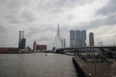 Nehir Nieuwe Maas üzerinde Erasmusbrug binalar ile Rotterdam Skyline