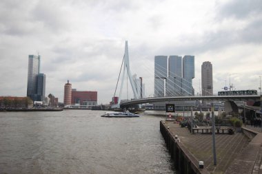Nehir Nieuwe Maas üzerinde Erasmusbrug binalar ile Rotterdam Skyline