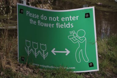 Çiçek ampul alanlarının ziyaretçileri için imza çiçek satırlarından turist tutmak için