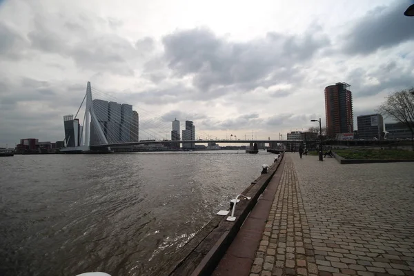 Panorama Rotterdamu Budynkami Erasmusbrug Nad Rzeką Nieuwe Maas — Zdjęcie stockowe