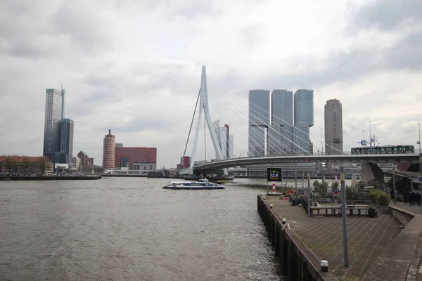 Nehir Nieuwe Maas Üzerinde Erasmusbrug Binalar Ile Rotterdam Skyline — Stok fotoğraf