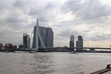 Adı Kuğu olan Nieuwe Maas nehri üzerindeki Erasmusbrug köprüsü Rotterdam'ın kuzey ve güneyini birbirine bağlıyor