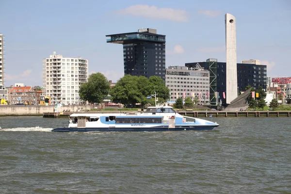 在荷兰鹿特丹港 水上巴士作为公共交通工具 在纽韦马斯河上行驶 — 图库照片