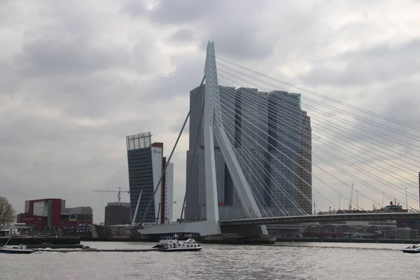 Puente Erasmusbrug Sobre Río Nieuwe Maas Con Apodo Swan Conecta — Foto de Stock