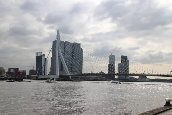 Puente Erasmusbrug Sobre Río Nieuwe Maas Con Apodo Swan Conecta — Foto de Stock