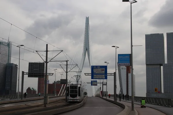 Puente Erasmusbrug Sobre Río Nieuwe Maas Con Apodo Swan Conecta — Foto de Stock