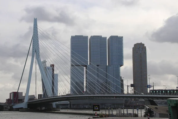 Pont Erasmusbrug Sur Rivière Nieuwe Maas Avec Surnom Swan Relie — Photo