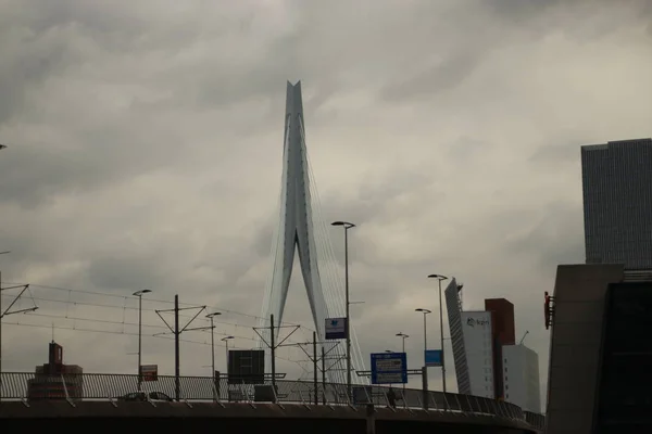 Puente Erasmusbrug Sobre Río Nieuwe Maas Con Apodo Swan Conecta — Foto de Stock