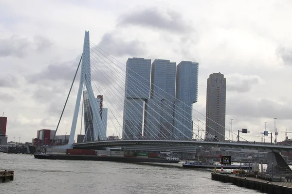 Pont Erasmusbrug Sur Rivière Nieuwe Maas Avec Surnom Swan Relie — Photo