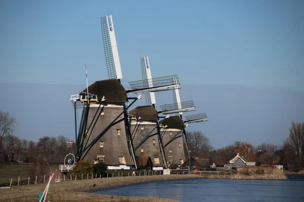 Tři Větrné Mlýny Řadě Stompwijk Aby Udrželi Driemanspolr Pravé Vodní — Stock fotografie