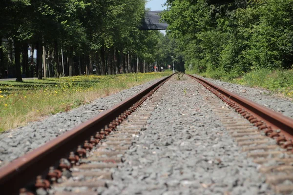 One Railroad Track Port Amsterdam Cargo Trains Netherlands — Stock Photo, Image