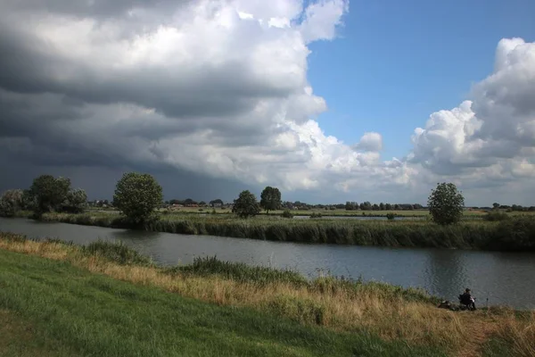 Oignons Sur Les Terres Agricoles Zevenhuizen Aux Pays Bas — Photo