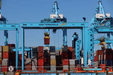 Rotterdam Limanı 'ndaki Maasvlakte Limanı' ndaki APM konteyner terminalinde mavi turnalar.