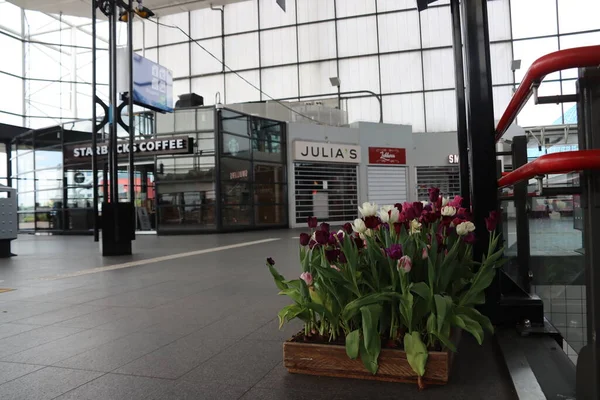 Zug Und Bahn Station Amsterdam Sloterdijk Mit Fast Niemandem Wegen — Stockfoto