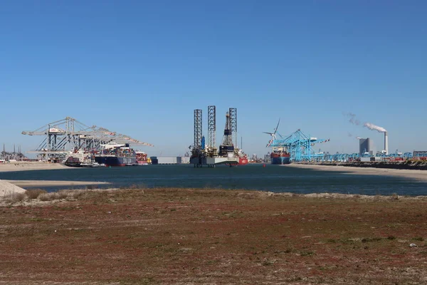 Gru Blu Presso Container Terminal Apm Nel Porto Maasvlakte Nel — Foto Stock