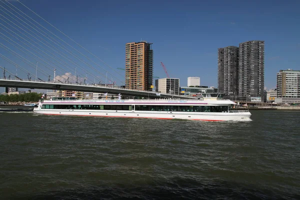 Spido Tur Båt Seglar Erasmus Bridge Nieuwe Maas Rotterdam — Stockfoto