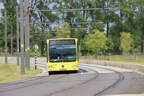 Желтый Продлить Городской Автобус Городе Утрехт Нидерландах — стоковое фото