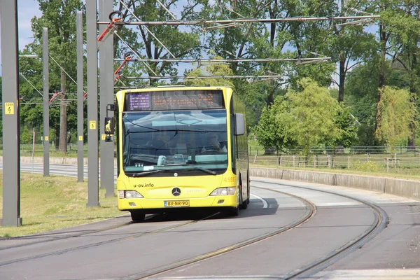 Amarelo Estender Ônibus Cidade Cidade Utrecht Holanda — Fotografia de Stock