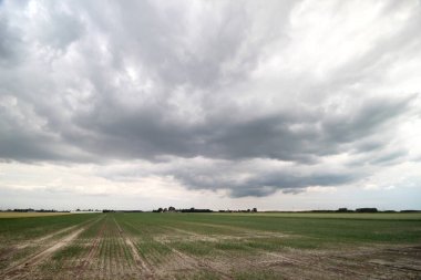 Hollanda, Zevenhuizen 'de Willem-Alexanderbaan adlı Rotterdam için su deposu olarak Eendragtspolder' da kürek çekme şeridi