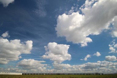 Zuidplaspold 'daki mavi gökyüzünde kümülüs bulutları Avrupa' nın en düşük polencisi