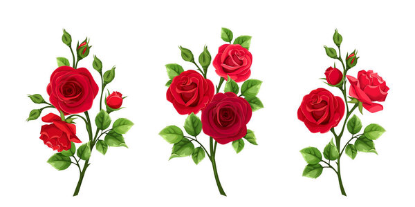 Vector set of branches of red roses isolated on a white background.