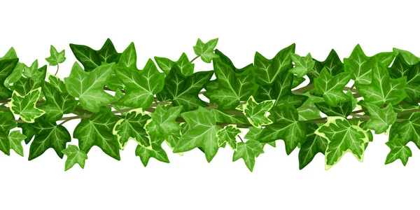 Vector Horizontal Seamless Garland Green Ivy Leaves White Background — Stock Vector