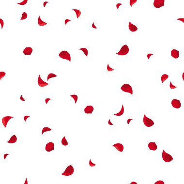 Vector seamless pattern with red rose petals on white.  clipart