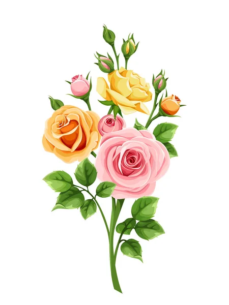 Vector Pink Orange Yellow Roses Isolated White Background — Stock Vector