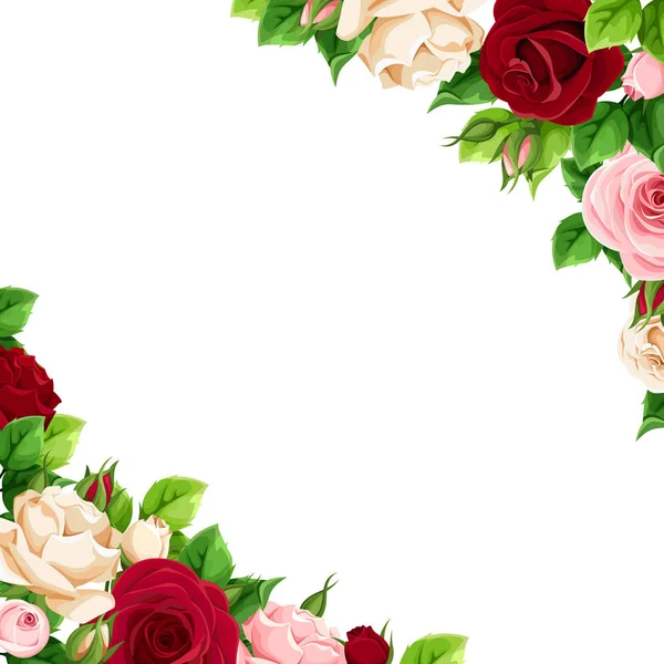 Fundo Canto Vetorial Com Rosas Rosa Borgonha Branca —  Vetores de Stock
