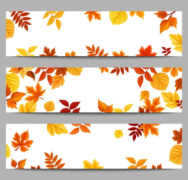 Conjunto Tres Banners Web Vectoriales Con Hojas Coloridas Otoño — Archivo Imágenes Vectoriales