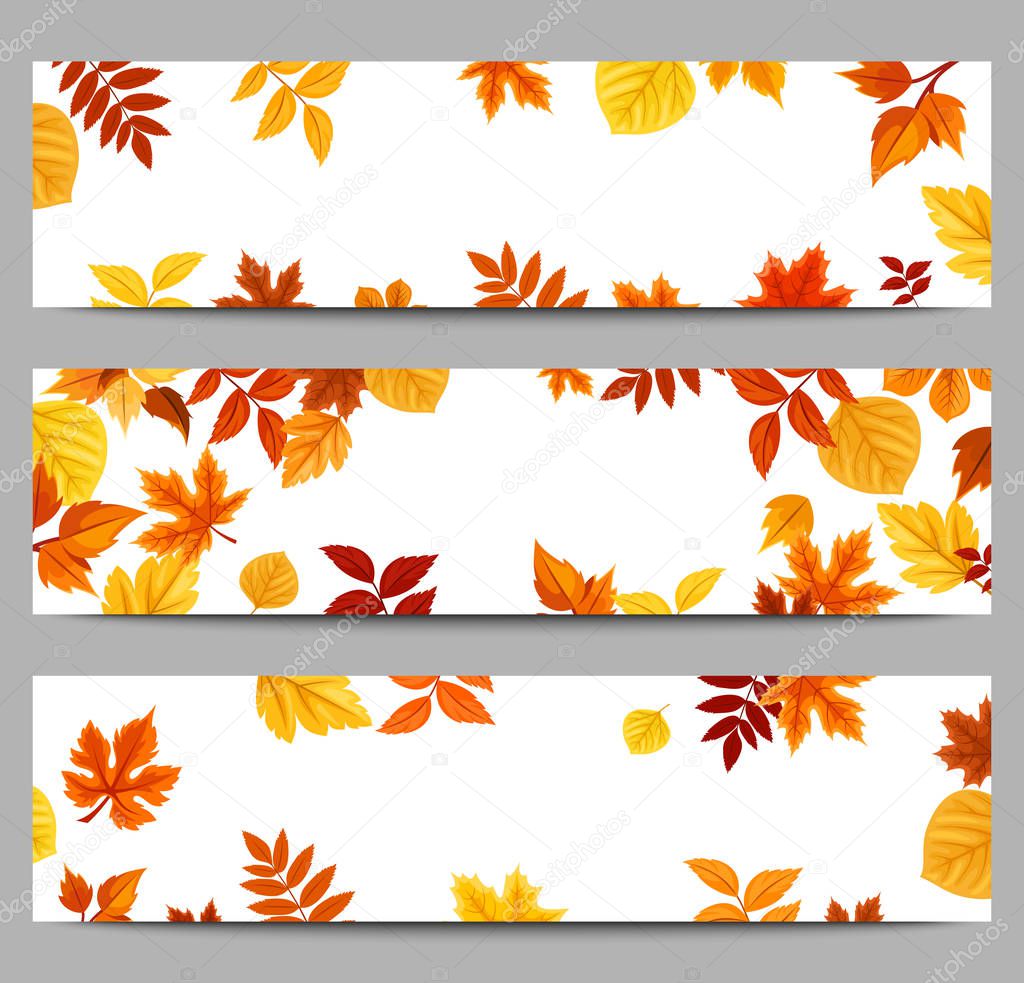 Set of three vector web banners with colorful autumn leaves.