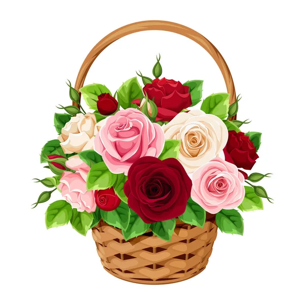 在白色背景查出的带红色 勃艮第 粉色和白色玫瑰的向量篮子 — 图库矢量图片