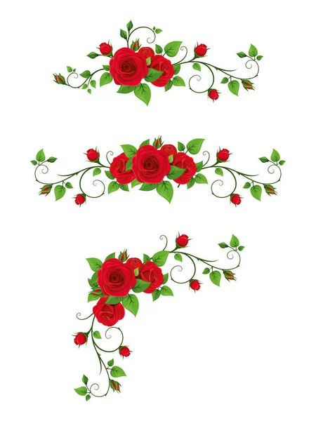 Vector Set Vignette Elements Red Rose Vines — Stock Vector