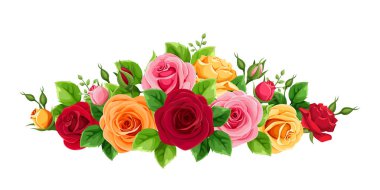 Kırmızı, pembe, turuncu ve sarı güller beyaz bir arka plan üzerinde izole vektör yatay buket.