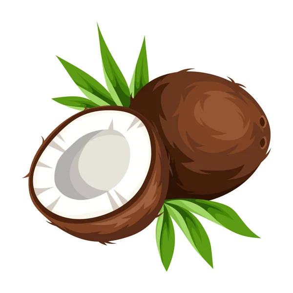 Wektor Kokosowy Izolowane Białym Tle — Wektor stockowy