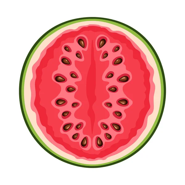 Vector Illustration Watermelon Half Isolated White Background — Stock Vector