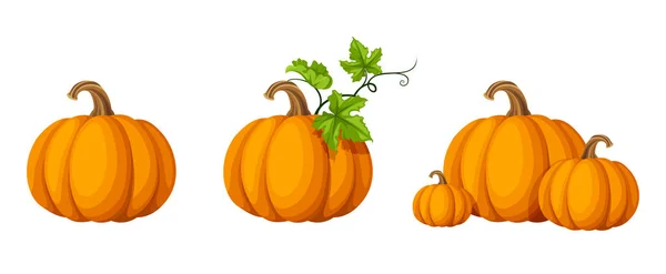 Conjunto Vectorial Calabazas Anaranjadas Aisladas Sobre Fondo Blanco — Vector de stock